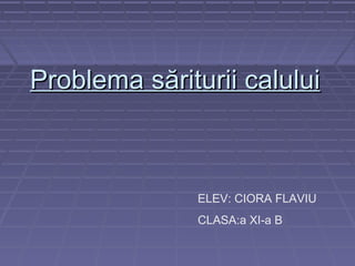 Problema săriturii calului

ELEV: CIORA FLAVIU
CLASA:a XI-a B

 