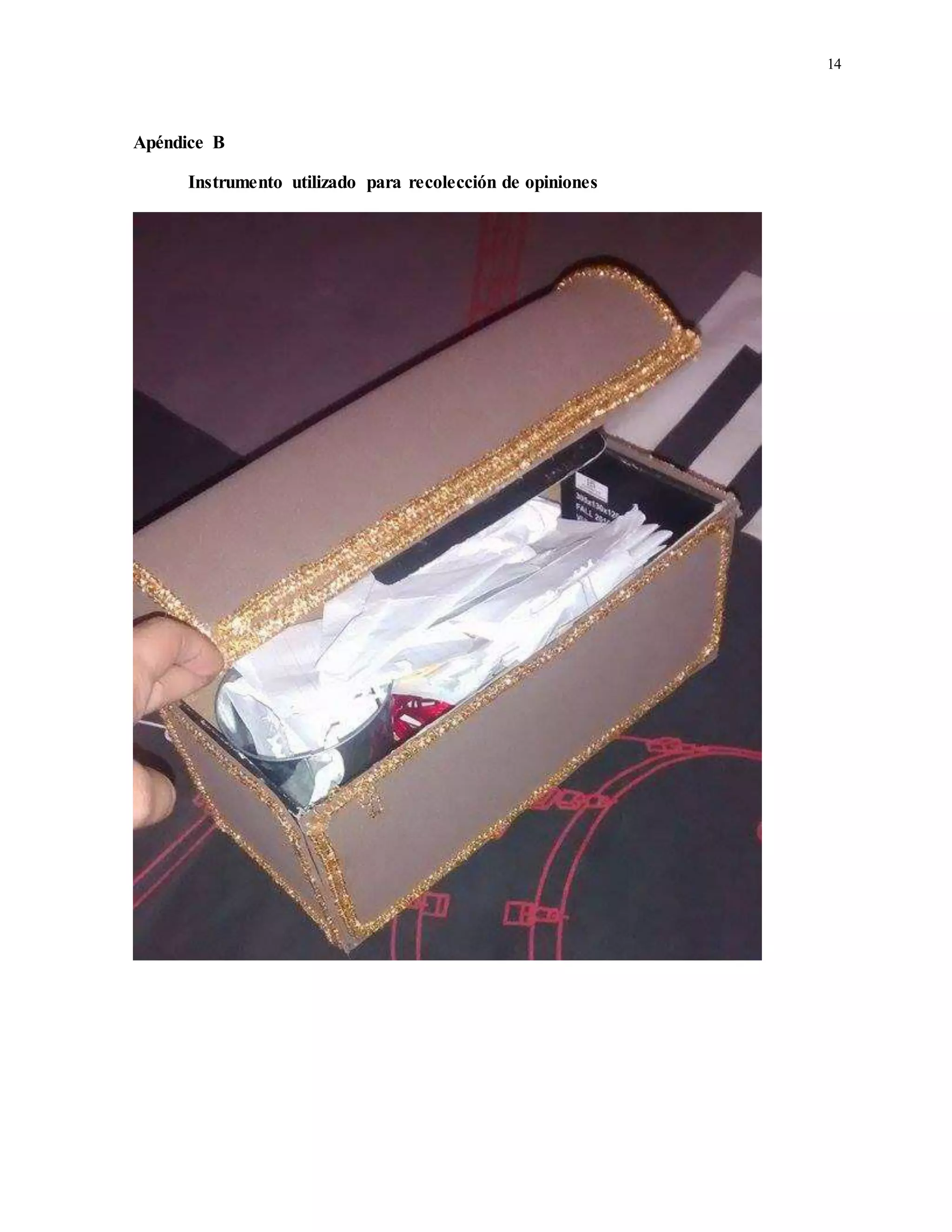 14
Apéndice B
Instrumento utilizado para recolección de opiniones
 