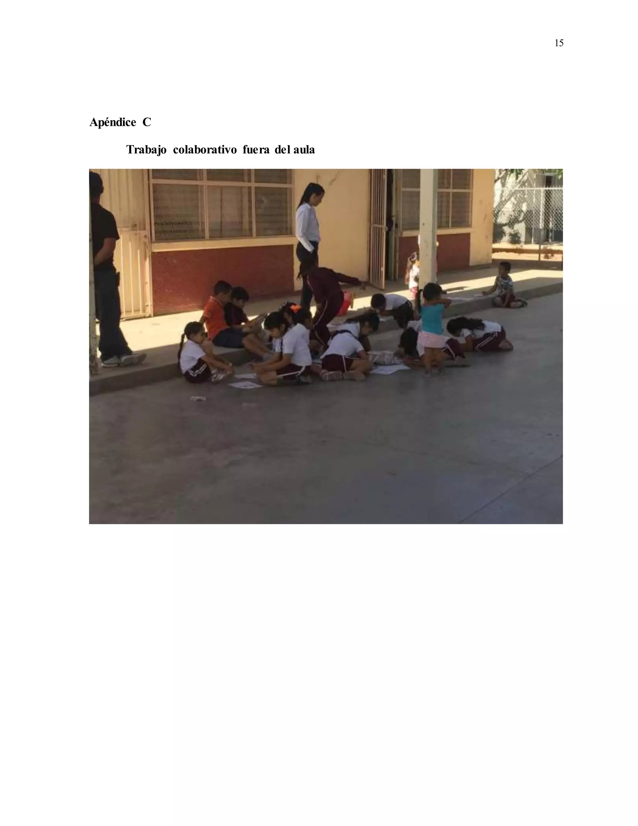 15
Apéndice C
Trabajo colaborativo fuera del aula
 