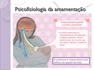 Psicofisiologia da amamentação

A prolactina age nas células
secretoras dos alvéolos
A ocitocina é responsável pelo
reflexo de ejeção do leite

 