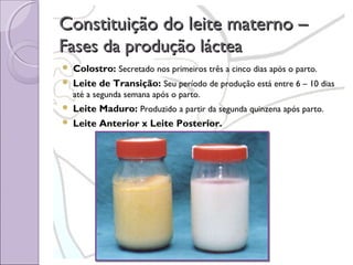 Constituição do leite materno –
Fases da produção láctea



Colostro: Secretado nos primeiros três a cinco dias após o parto.
Leite de Transição: Seu período de produção está entre 6 – 10 dias
até a segunda semana após o parto.




Leite Maduro: Produzido a partir da segunda quinzena após parto.
Leite Anterior x Leite Posterior.

 