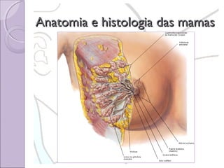 Anatomia e histologia das mamas

 