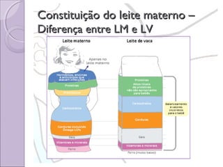 Constituição do leite materno –
Diferença entre LM e LV

 