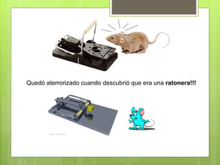 Quedó aterrorizado cuando descubrió que era una  ratonera!!! 