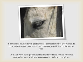 Foto de Mr. Cabianca
É comum os cavalos terem problemas de comportamento - problemas de
 comportamento na perspectiva das pessoas que estão em contacto com
                               eles.

  A maior parte deles podem ser facilmente evitados com os cuidados
    adequados mas, se vierem a acontecer poderão ser corrigidos.
 