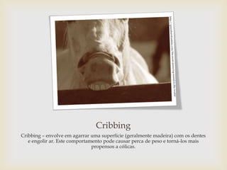 Cribbing
Cribbing – envolve em agarrar uma superfície (geralmente madeira) com os dentes
   e engolir ar. Este comportamento pode causar perca de peso e torná-los mais
                               propensos a cólicas.
 