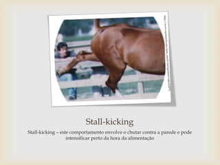Stall-kicking
Stall-kicking – este comportamento envolve o chutar contra a parede e pode
                   intensificar perto da hora da alimentação
 