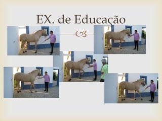 EX. de Educação
       
 