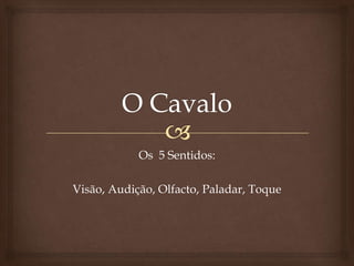 Os 5 Sentidos:

Visão, Audição, Olfacto, Paladar, Toque
 