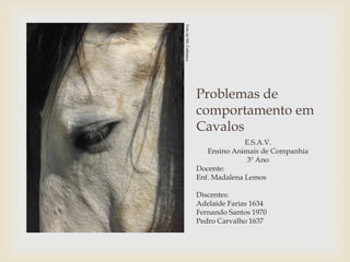 Foto de Mr. Cabianca
                       Problemas de
                       comportamento em
                       Cavalos
                                     E.S.A.V.
                          Ensino Animais de Companhia
                                      3º Ano
                       Docente:
                       Enf. Madalena Lemos

                       Discentes:
                       Adelaide Farias 1634
                       Fernando Santos 1970
                       Pedro Carvalho 1637
 