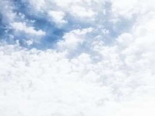 Problema do ser e da dor, uma obra de  l