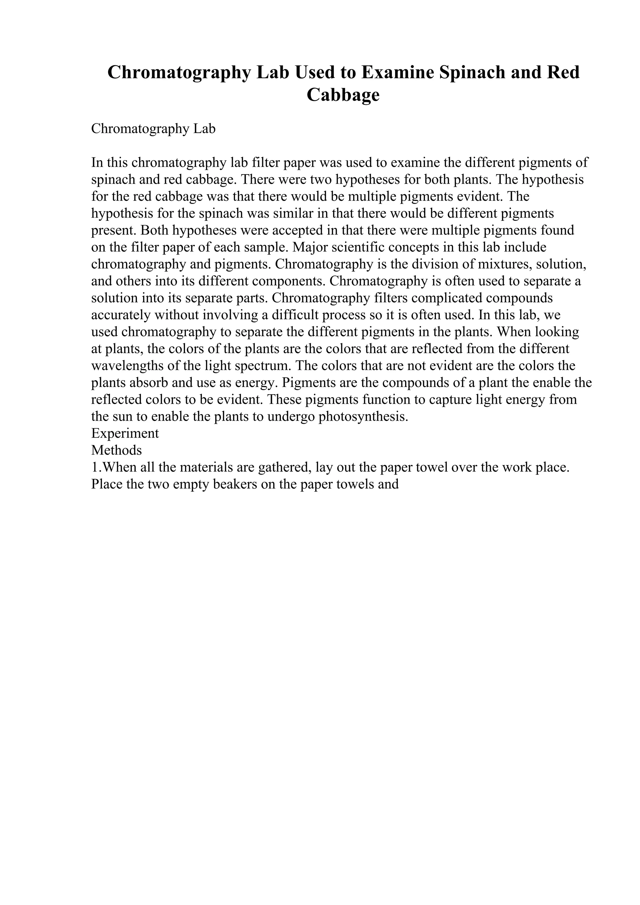 Chromatography Lab Used to Examine Spinach and Red
Cabbage
Chromatography Lab
In this chromatography lab filter paper was used to examine the different pigments of
spinach and red cabbage. There were two hypotheses for both plants. The hypothesis
for the red cabbage was that there would be multiple pigments evident. The
hypothesis for the spinach was similar in that there would be different pigments
present. Both hypotheses were accepted in that there were multiple pigments found
on the filter paper of each sample. Major scientific concepts in this lab include
chromatography and pigments. Chromatography is the division of mixtures, solution,
and others into its different components. Chromatography is often used to separate a
solution into its separate parts. Chromatography filters complicated compounds
accurately without involving a difficult process so it is often used. In this lab, we
used chromatography to separate the different pigments in the plants. When looking
at plants, the colors of the plants are the colors that are reflected from the different
wavelengths of the light spectrum. The colors that are not evident are the colors the
plants absorb and use as energy. Pigments are the compounds of a plant the enable the
reflected colors to be evident. These pigments function to capture light energy from
the sun to enable the plants to undergo photosynthesis.
Experiment
Methods
1.When all the materials are gathered, lay out the paper towel over the work place.
Place the two empty beakers on the paper towels and
 