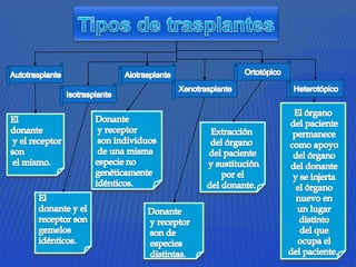 Tipos de trasplantesOrtotópicoAutotrasplanteAlotrasplanteXenotrasplanteHeterotópicoIsotrasplanteEl órgano del paciente permanece como apoyo del órgano del donante y se injerta el órgano nuevo en un lugar distinto del que ocupa el del paciente. Donante y receptor son individuos de una misma especie no genéticamente idénticos. El donante y el receptor son el mismo. Extracción del órgano del paciente y sustitución por el del donante. Eldonante y elreceptor songemelosidénticos. Donante y receptor son de especies distintas. 