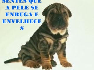 SENTES QUE
A PELE SE
ENRUGA E
ENVELHECE
S