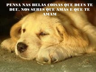 PENSA NAS BELAS COISAS QUE DEUS TE
DEU, NOS SERES QUE AMAS E QUE TE
AMAM