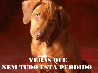 VERÁS QUE
NEM TUDO ESTÁ PERDIDO