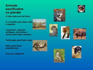 Animais sacrificados  no planeta O lobo pela sua má fama. O crocodilo para fazer malas e sapatos. Leopardos, raposas, antílopes, chinchilas e visons para fazer casacos. Tartarugas para fazer sopa. Ratos para fazer experiências. Aves por desporto. 