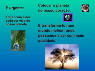 É urgente: Colocar o planeta  no nosso coração.  E transformá-lo num mundo melhor, onde possamos viver com mais qualidade. Tratar com amor cada ser vivo do nosso planeta. 