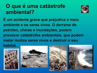 O que é uma catástrofe  ambiental? É um acidente grave que prejudica o meio ambiente e os seres vivos. O derrame de petróleo, cheias e inundações, podem provocar catástrofes ambientais, que podem matar muitos seres vivos e destruir o seu habitat.  