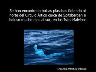 Se  han encontrado bolsas plásticas flotando al norte del Circulo Ártico cerca de Spitzbergen e incluso mucho mas al sur, en las Islas Malvinas -  Encuesta Antártica Británica 