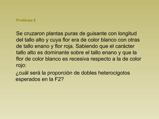 Se cruzaron plantas puras de guisante con longitud
del tallo alto y cuya flor era de color blanco con otras
de tallo enano y flor roja. Sabiendo que el carácter
tallo alto es dominante sobre el tallo enano y que la
flor de color blanco es recesiva respecto a la de color
rojo:
¿cuál será la proporción de dobles heterocigotos
esperados en la F2?
Problema 8
 