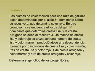 Las plumas de color marrón para una raza de gallinas
están determinadas por el alelo b+
, dominante sobre
su recesivo b, que determina color rojo. En otro
cromosoma se encuentra el locus del gen s+
dominante que determina cresta lisa, y la cresta
arrugada se debe al recesivo s. Un macho de cresta
lisa y color rojo se cruza con una hembra de cresta
lisa y color marrón, produciéndose una descendencia
formada por 3 individuos de cresta lisa y color marrón,
tres de cresta lisa y color rojo, 1 de cresta arrugada y
color marrón y otro de cresta arrugada y color rojo.
Determina el genotipo de los progenitores.
Problema 9
 