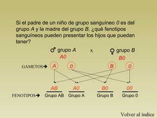 Si el padre de un niño de grupo sanguíneo 0 es del
grupo A y la madre del grupo B, ¿qué fenotipos
sanguíneos pueden presentar los hijos que puedan
tener?
B0A0
grupo A grupo Bx
GAMETOS A B0 0
AB B0A0 00
Grupo AB Grupo 0Grupo BGrupo AFENOTIPOS
Volver al índice
 