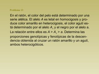 En el ratón, el color del pelo está determinado por una
serie alélica. El alelo A es letal en homocigosis y pro-
duce color amarillo en heterocigosis, el color agutí es-
tá determinado por el alelo A1
y el negro por el alelo a.
La relación entre ellos es A > A1
> a. Determina las
proporciones genotípicas y fenotípicas de la descen-
dencia obtenida al cruzar un ratón amarillo y un agutí,
ambos heterocigóticos.
Problema 13
 
