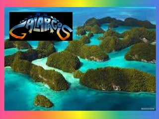 COLLAGE ECUADOT TURISTICO 