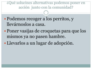  Podemos recoger a los perritos, y
llevárnoslos a casa.
 Poner vasijas de croquetas para que los
mismos ya no pasen hambre.
 Llevarlos a un lugar de adopción.
¿Qué solucines alternativas podemos poner en
acción junto con la comunidad?
 