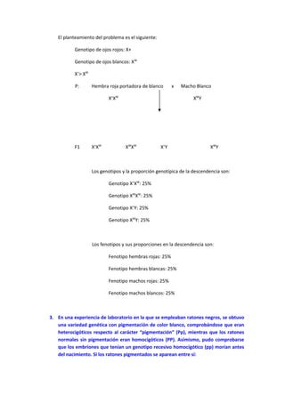 El planteamiento del problema es el siguiente:
Genotipo de ojos rojos: X+
Genotipo de ojos blancos: XW
X+
> XW
P: Hembra roja portadora de blanco x Macho Blanco
X+
XW
XW
Y
F1 X+
XW
XW
XW
X+
Y XW
Y
Los genotipos y la proporción genotípica de la descendencia son:
Genotipo X+
XW
: 25%
Genotipo XW
XW
: 25%
Genotipo X+
Y: 25%
Genotipo XW
Y: 25%
Los fenotipos y sus proporciones en la descendencia son:
Fenotipo hembras rojas: 25%
Fenotipo hembras blancas: 25%
Fenotipo machos rojas: 25%
Fenotipo machos blancos: 25%
3. En una experiencia de laboratorio en la que se empleaban ratones negros, se obtuvo
una variedad genética con pigmentación de color blanco, comprobándose que eran
heterocigóticos respecto al carácter “pigmentación” (Pp), mientras que los ratones
normales sin pigmentación eran homocigóticos (PP). Asimismo, pudo comprobarse
que los embriones que tenían un genotipo recesivo homocigótico (pp) morían antes
del nacimiento. Si los ratones pigmentados se aparean entre sí:
 