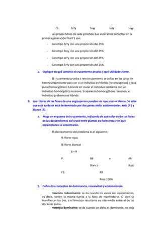 F1 SsYy Ssyy ssYy ssyy
Las proporciones de cada genotipo que esperamos encontrar en la
primera generación filial F1 son:
- Genotipo SsYy con una proporción del 25%
- Genotipo Ssyy con una proporción del 25%
- Genotipo ssYy con una proporción del 25%
- Genotipo SsYy con una proporción del 25%
b. Explique en qué consiste el cruzamiento prueba y qué utilidades tiene.
El cruzamiento prueba o retrocruzamiento se utiliza en los casos de
herencia dominante para ver si un individuo es híbrido (heterocigótico) o raza
pura (homocigótico). Consiste en cruzar al individuo problema con un
individuo homocigótico recesivo. Si aparecen homocigóticos recesivos, el
individuo problema es híbrido.
9. Los colores de las flores de una angiosperma pueden ser rojo, rosa o blanco. Se sabe
que este carácter está determinado por dos genes alelos codominantes: rojo (R ) y
blanco (B).
a. Haga un esquema del cruzamiento, indicando de qué color serán las flores
de los descendientes del cruce entre plantas de flores rosa y en qué
proporciones se encontrarán.
El planteamiento del problema es el siguiente:
R: flores rojas
B: flores blancas
B = R
P: BB x RR
Blanco Rojo
F1: RB
Rosa 100%
b. Defina los conceptos de dominancia, recesividad y codominancia.
Herencia codominante: se da cuando los alelos son equipotentes,
es decir, tienen la misma fuerza a la hora de manifestarse. O bien se
manifiestan los dos, o el fenotipo resultante es intermedio entre el de las
dos razas puras.
Herencia dominante: se da cuando un alelo, el dominante, no deja
 