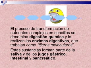 El proceso de transformación de nutrientes complejos en sencillos se denomina  digestión química  y lo realizan las  enzimas digestivas , que trabajan  como “tijeras moleculares ”.  Estas sustancias forman parte de la  saliva  y de los  jugos gástrico ,  intestinal  y  pancreático . ... 