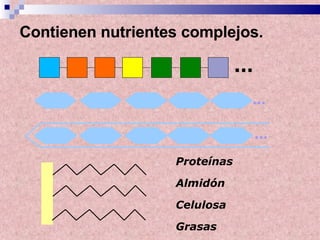 ... ... Contienen nutrientes complejos. Proteínas Almidón Celulosa Grasas ... 