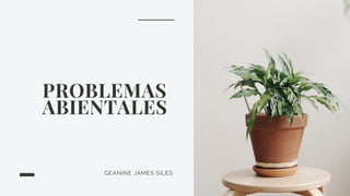 PROBLEMAS
ABIENTALES
GEANINE JAMES SILES
 