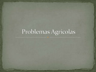 Problemas Agrícolas 