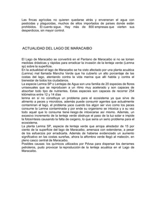 Las fincas agrícolas no quieren quedarse atrás y envenenan el agua con
pesticidas y plaguicidas, muchos de ellos importados de países donde están
prohibidos. El cuento sigue. Hay más de 800 empresas que vierten sus
desperdicios, sin mayor control.
ACTUALIDAD DEL LAGO DE MARACAIBO
El Lago de Maracaibo se convertirá en el Pantano de Maracaibo si no se toman
medidas drásticas y rápidas para erradicar la invasión de la lenteja verde (Lemna
sp) sobre la superficie.
En la actualidad el lago de Maracaibo se ha visto afectado por una planta acuática
(Lemna) mal llamada Mancha Verde que ha cubierto un alto porcentaje de las
costas del lago, atentando contra la vida marina que allí habita y contra el
bienestar de todos los ciudadanos.
La especie Lemna SP o Lentejas de Agua son una familia de 20 especies de flores
unisexuales que se reproducen a un ritmo muy acelerado y son capaces de
absorber todo tipo de nutrientes. Estas especies son capaces de recorrer 254
kilómetros entre 12 y 14 días
lemna en sí no constituye un problema para el ecosistema ya que sirve de
alimento a peces y microbios, además puede consumir agentes que actualmente
contaminan el lago, el problema yace cuando los algún ser vivo como los peces
consume la Lemna contaminada y por ende su organismo se intoxica y a su vez
todo aquel que lo consuma tiene riesgo de intoxicarse así mismo. Además, un
excesivo incremento de la lenteja verde obstruye el paso de la luz solar e impide
la fotosíntesis causando la falta de oxigeno, lo que seria un serio problema para el
ecosistema.
La planta Lemna SP, especie de lenteja verde que arropa alrededor de 15 por
ciento de la superficie del lago de Maracaibo, amenaza con extenderse, a pesar
de los esfuerzos por erradicarla. Además de haberse evidenciado un aumento
significativo en las costas sureñas, ahora la alfombra verde llegó al malecón, en
pleno casco central de Maracaibo.
Posibles causas: los químicos utilizados por Pdvsa para dispersar los derrames
petroleros, pudo provocar la reproducción de la lenteja acuática en el Lago de
Maracaibo.
 