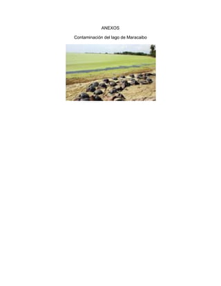 ANEXOS
Contaminación del lago de Maracaibo
 