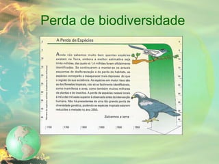 Perda de biodiversidade 