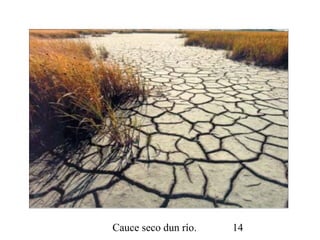 Cauce seco dun río. 14
 