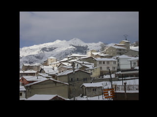 efectos da neve nas poboacións.23
 