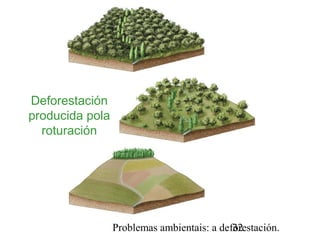 Problemas ambientais: a deforestación.32
Deforestación
producida pola
roturación
 