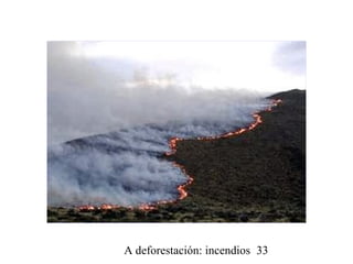 A deforestación: incendios 33
 