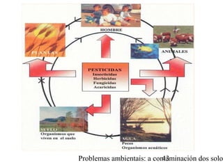 Problemas ambientais: a contaminación dos solo43
 