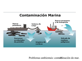 Problemas ambientais: contaminación do mar.45
 