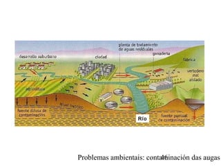 Problemas ambientais: contaminación das augas46
Río
 