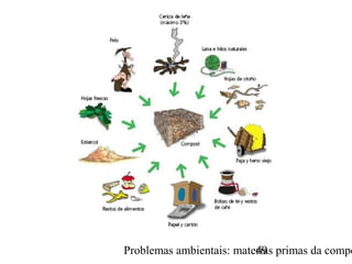 Problemas ambientais: materias primas da compo49
 
