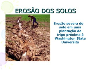 EROSÃO DOS SOLOS

          Erosão severa do
              solo em uma
              plantação de
            trigo próxima à
           Washington State
               University
 