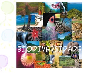 Problemas ambientais