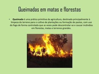 Queimadas em matas e florestas
• Queimada é uma prática primitiva da agricultura, destinada principalmente à
limpeza do terreno para o cultivo de plantações ou formação de pastos, com uso
do fogo de forma controlada que as vezes pode descontrolar-se e causar incêndios
em florestas, matas e terrenos grandes.
 